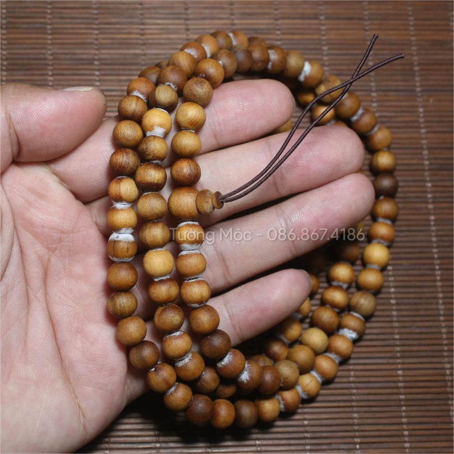 trang-108-hat-hoang-dan-tuyet-lang-son