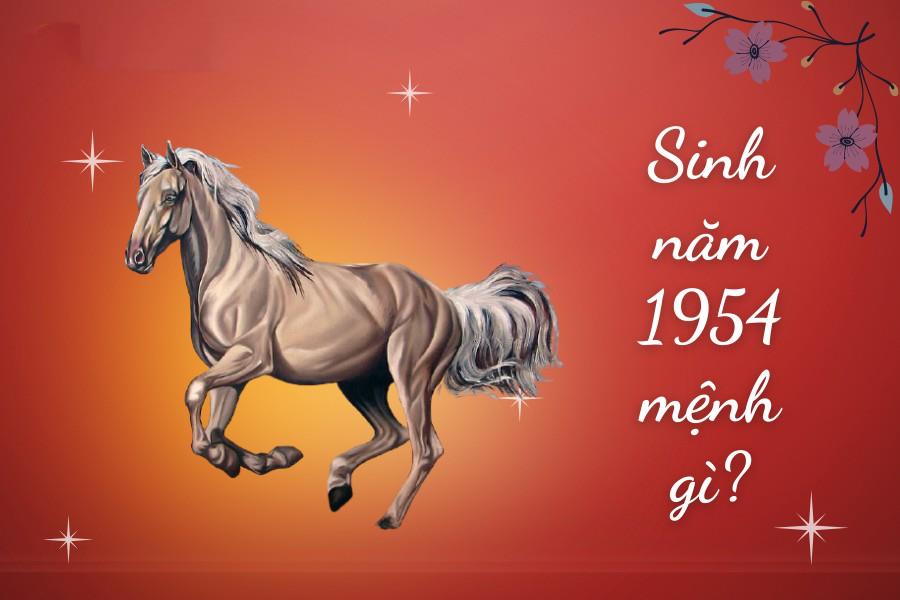 năm sinh 1954