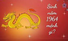 năm sinh 1964
