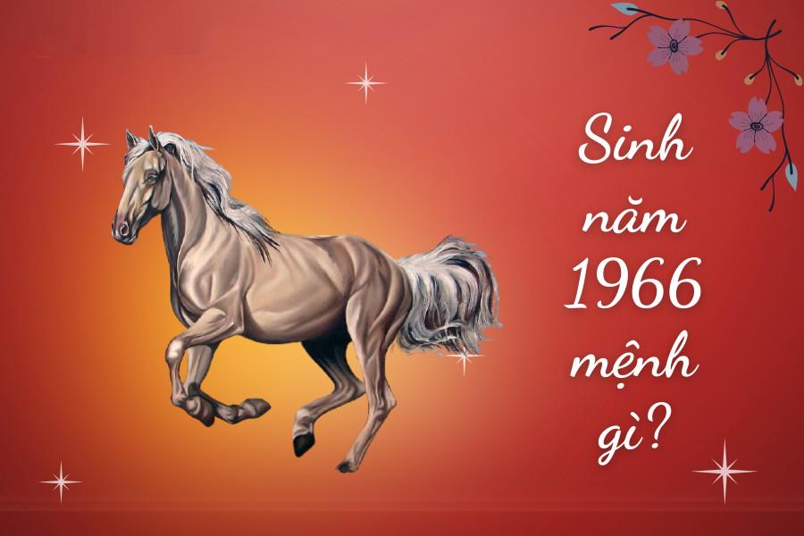 năm sinh 1966