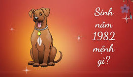 năm sinh 1982