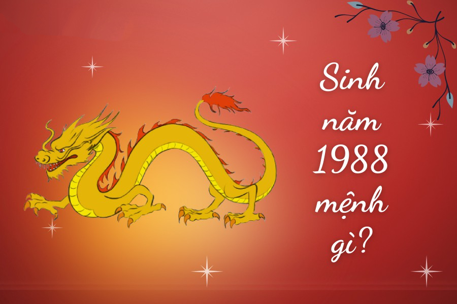 năm sinh 1988