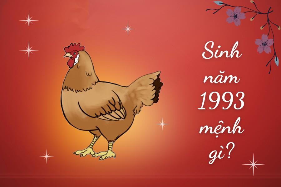năm sinh 1993