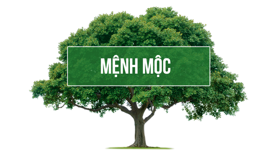 người mệnh Mộc