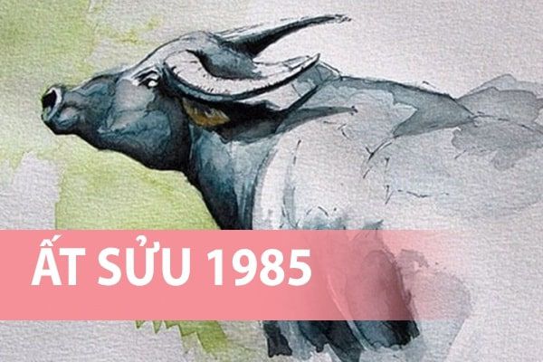 sinh năm 1985