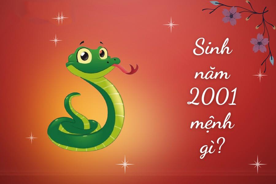 năm sinh 2001